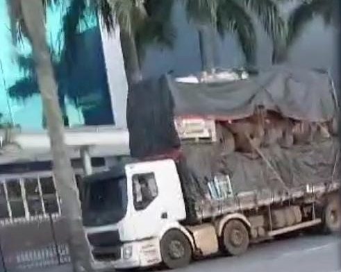 Caminhão derruba cabos e atinge motociclista. Foto: leitor