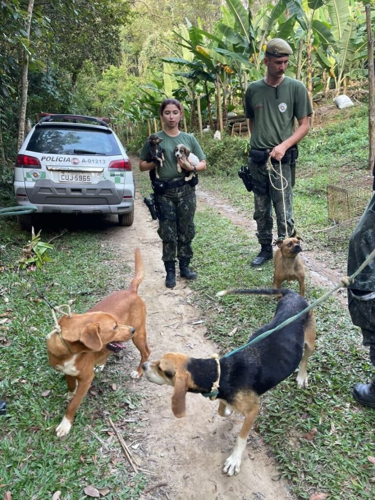 Polícia Ambiental resgata cães amarrados e sem comida em Rio Grande da Serra. Foto: Divulgação